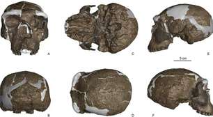 Crânio de 1 mi de anos pode ser da linhagem do Homem Dragão