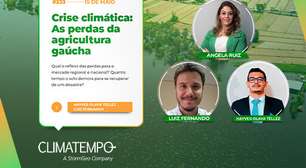 Perdas Agrícolas no RS: Impacto no Mercado e Recuperação do Solo