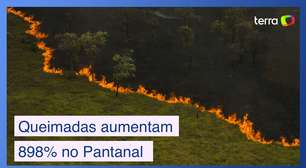 Emergência no Pantanal: queimadas aumentam 898% - e vai piorar