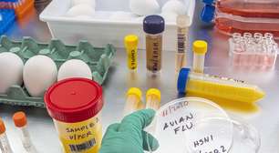Gripe aviária: OMS confirma morte de primeiro paciente diagnosticado com a variante H5N2