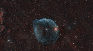 Destaque da NASA: Nebulosa da Cabeça do Golfinho na foto astronômica do dia