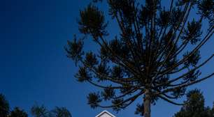 Cabana com telhado de duas águas tem décor escandinavo e lareira