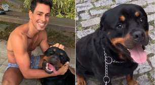 Cachorro de Cauã Reymond perde a vida após ser envenenado: 'Se foi'