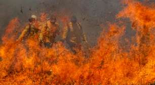 Incêndios no Pantanal aumentam mais de 1.000% e rio Paraguai tem seca recorde
