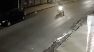 Casal é derrubado de moto por cachorro que corria atrás de gato em MG; vídeo