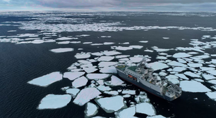 Por que 'vírus gigantes' achados por cientistas no gelo podem ajudar o planeta?