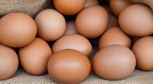 Substitutos do ovo: outras fontes de proteína para incluir na dieta