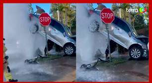 Carro bate em hidrante, é atingido por jato de água e fica suspenso no ar