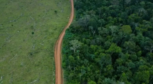 Como rodovia que liga Amazônia ao resto do país divide o governo Lula