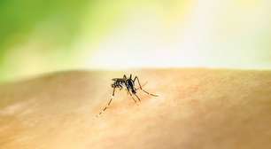 Mudanças climáticas favorecem aumento da dengue na Europa