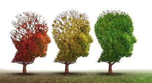 Qual a diferença entre Alzheimer e demência?