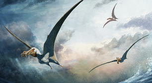 Novo pterossauro com língua grande é descoberto na Austrália