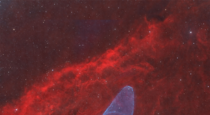 Destaque da NASA: brilhante Nebulosa da Lula é foto astronômica do dia