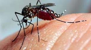 Em 6 meses, Brasil registra mais mortes por dengue do que em 7 anos somados
