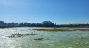 Algas cobrem Rio Tietê e impedem navegação, turismo e pesca no interior de SP
