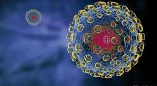 Os vírus que podem provocar a próxima pandemia