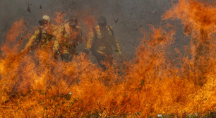 Incêndios no Pantanal e Cerrado quebram recorde histórico de quase 40 anos
