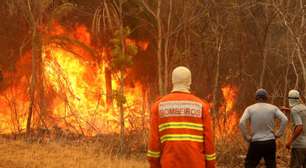 Governo federal vai liberar R$ 100 milhões para combate a incêndios no Pantanal