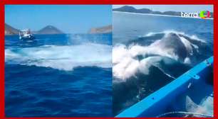 Baleia se 'enrosca' em cabo de âncora e assusta pescadores no Rio de Janeiro
