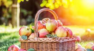 7 benefícios da maçã para a saúde