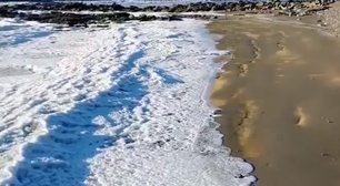 Frio extremo congela mar na Terra do Fogo, na Argentina