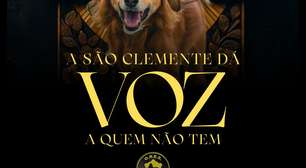 Cão Caramelo será tema da São Clemente em 2025