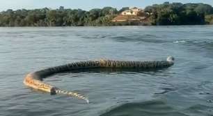 Vídeo: Cobra gigante morta é flagrada durante passeio de barco: 'Para quem gosta de banhar no lago'