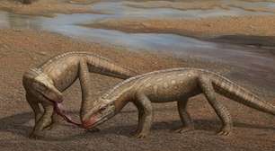 Fóssil de espécie que viveu há 237 milhões de anos é encontrado por médico no RS; veja qual é