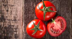 Tipos de tomate: saiba como diferenciar e quando usar cada um