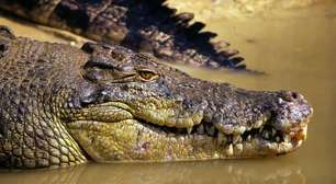 A busca desesperada por criança que desapareceu em águas com crocodilos