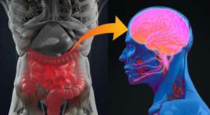 Microbioma intestinal influencia como lidamos com o estresse