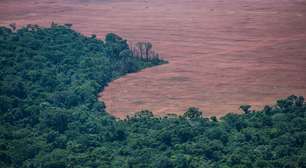 Desmatamento anual cai 51,1% na Amazônia e aumenta 14,6% no Cerrado