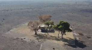 Casa resiste a incêndios no Pantanal em área que teve vegetação devastada no MS