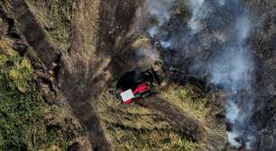 Como funciona produto químico usado para impedir a volta do fogo no Pantanal
