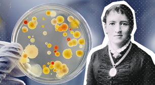 Fanny Angelina Hesse: a mulher que revolucionou a microbiologia com um ingrediente de cozinha