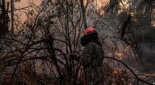A luta contra o tempo para evitar uma tragédia no Pantanal
