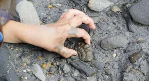 Casa das Rosas promove escavação de fóssil para crianças