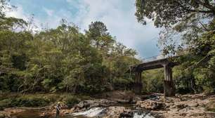 5 passeios ao ar livre e na natureza, em plena capital paulista