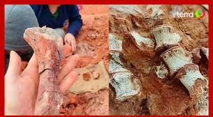 Fóssil de dinossauro é encontrado parcialmente exposto após ação das chuvas no RS