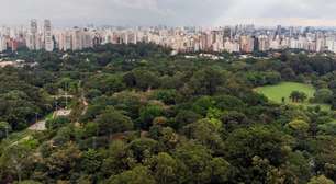 Sábado (20/7) terá passarinhada grátis no Parque Ibirapuera