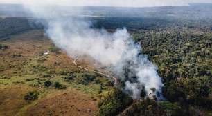 Áreas protegidas da Amazônia têm menor desmatamento em 10 anos no 1º semestre de 2024