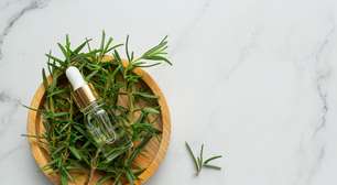 Benefícios do aroma de alecrim para saúde