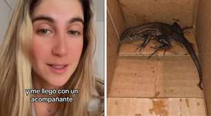 Colombiana compra air fryer e recebe animal na caixa: 'chegou com um acompanhante'