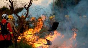 Onda de frio de julho influenciou as queimadas no Pantanal