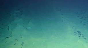 "Oxigênio negro" encontrado no fundo do oceano desafia a origem da vida