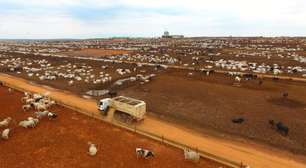 Justiça suspende cobranças de R$ 180 milhões de grupo agropecuário