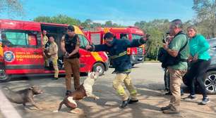 Pitbulls atacam jovem e vão para cima de bombeiro no Parque Barigui, em Curitiba