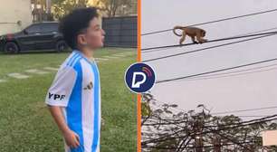 Criança ARGENTINA é filmada chamando macaco de VINÍCIUS JR e causa espanto