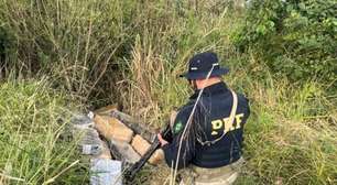 PRF encontra quase meia tonelada de maconha abandonada às margens da BR-282