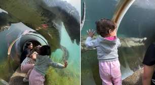 Crocodilo tenta atacar crianças em túnel submerso de zoológico e imagens impressionam